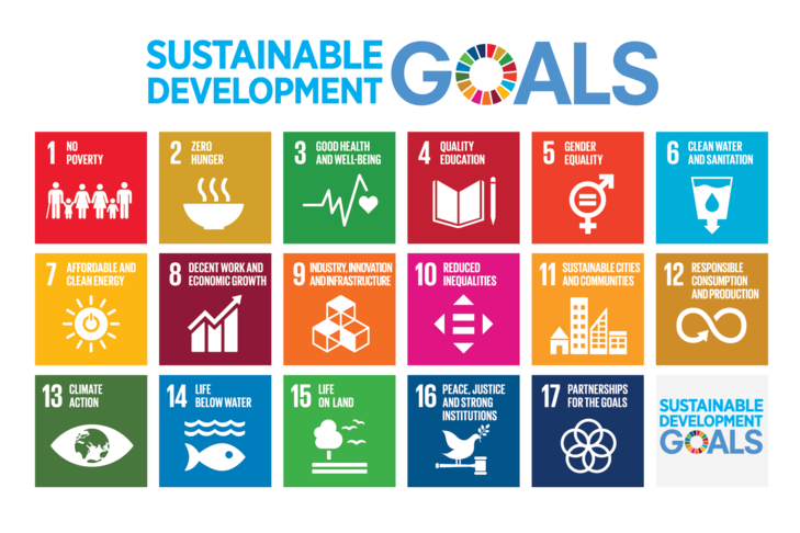 SDG 1